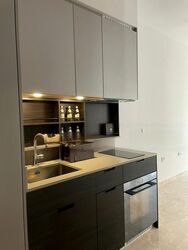 Haus On Handy (D9), Condominium #451079631